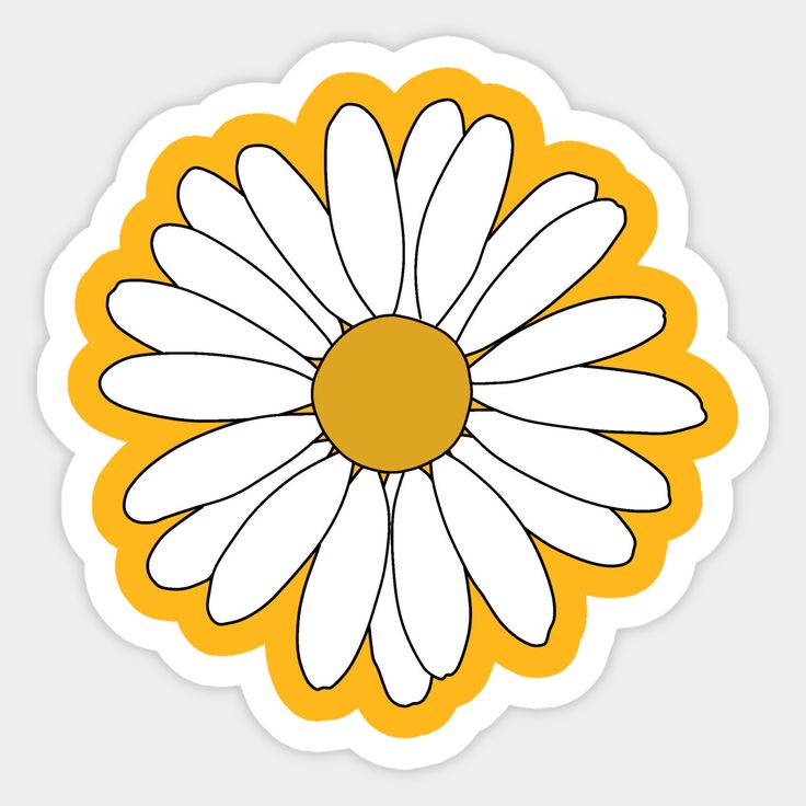 Daisy
